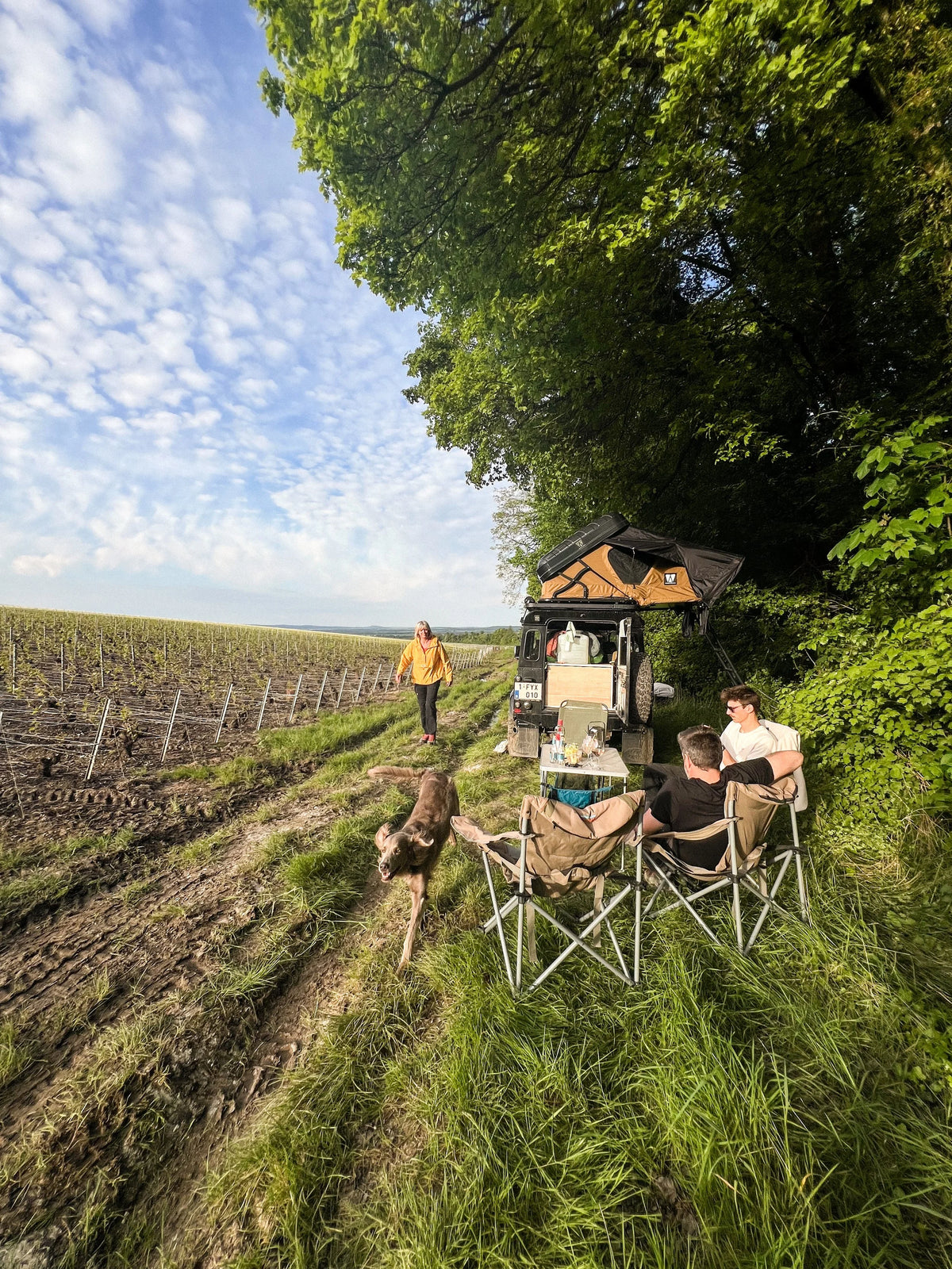 TET Trail trough Montagne de Reims